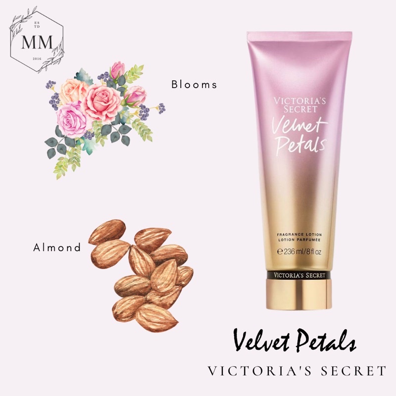 - Bộ sản phẩm Xịt Thơm Toàn Thân Victoria’s Secret Body Mist Dưỡng Thể Lotion mùi Velvet Petals 250ml
