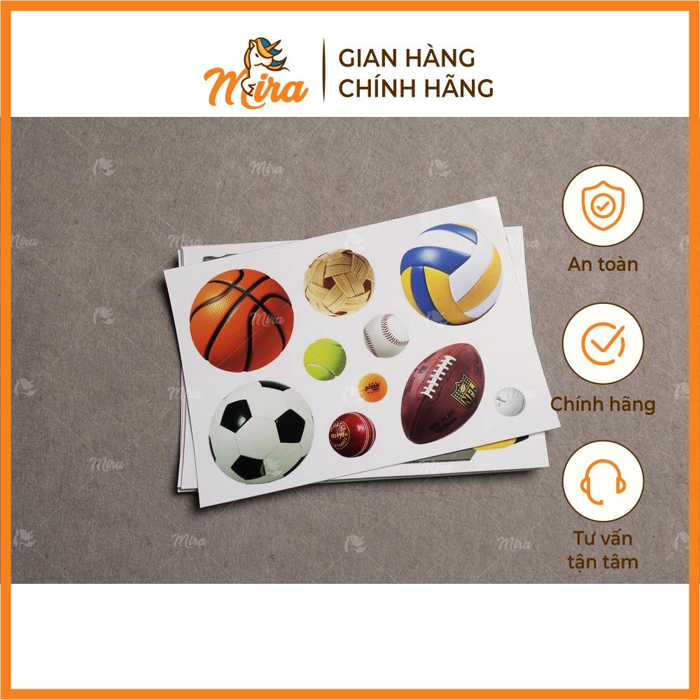 Montessori - Thẻ các đồ vật đã được phân loại - Mira Toys