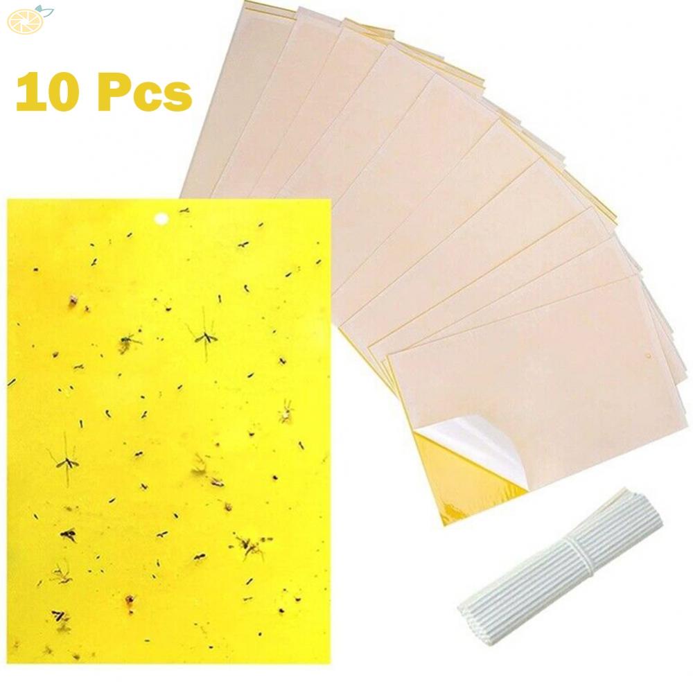 Set 10 Miếng Dán Bẫy Ruồi Muỗi Tiện Dụng Chất Lượng Cao