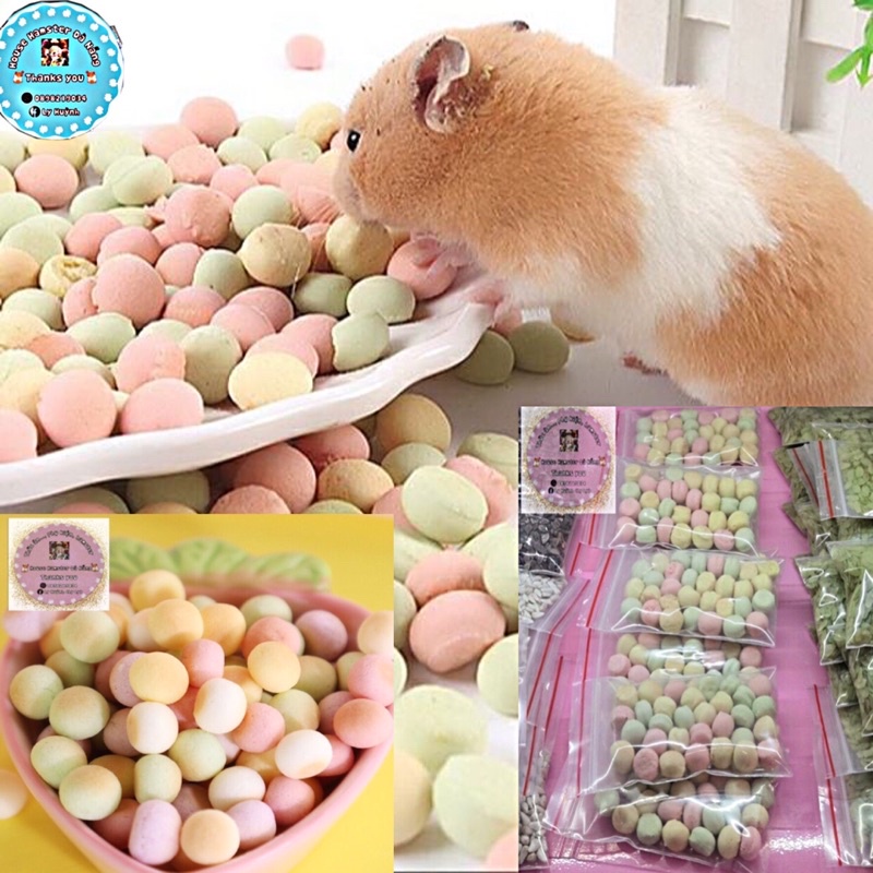 bánh Macaron mini dành cho thú nuôi (vỗ béo thỏ bọ hamster sóc,...)