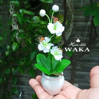 Hoa Đất Sét Mini-Cây Hoa Lài 12cm