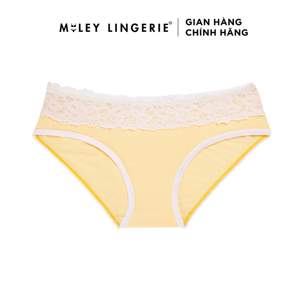 Combo 5 Quần Lót Nữ Modal Lưng Ren Lớn Miley Lingerie FDS74