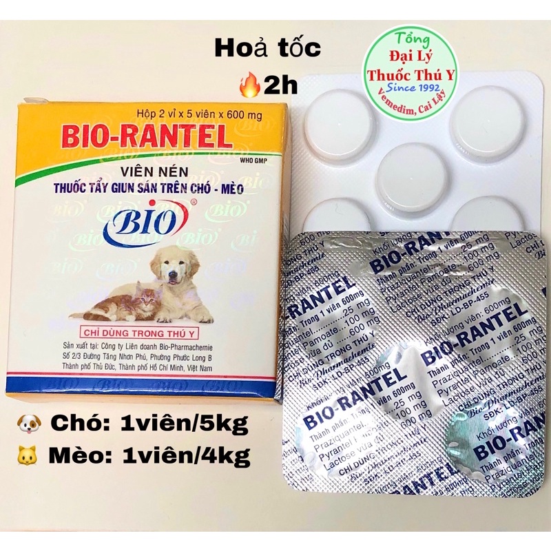 Viên Bio RANT.E.L dành cho thú cưng- chó mèo.