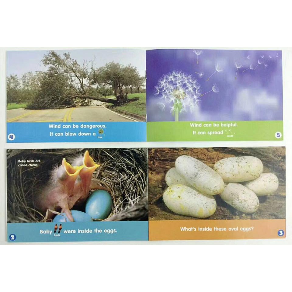 Bộ nhập- Let’s find out full 24q kèm file nghe