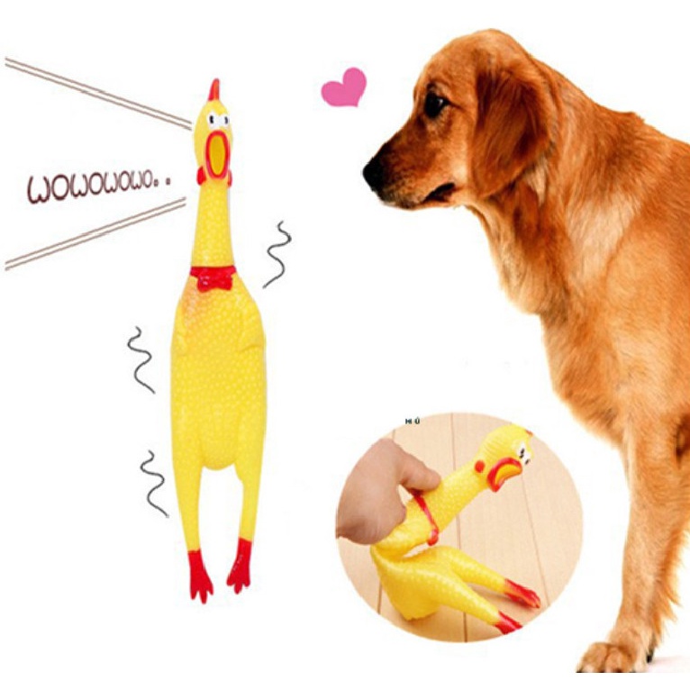 Đồ Chơi Con Gà Biết Kêu Hài Hước Dành Cho Chó Mèo - Đồ chơi con gà la hét
