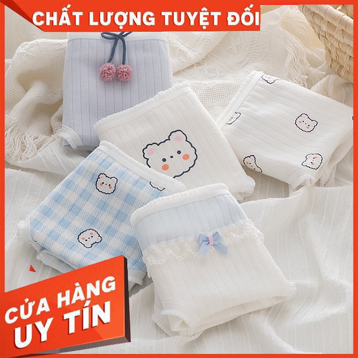 Set 5 Quần Chip Cotton - Co Dãn Thoải Mái - Dễ Dàng Vệ Sinh Giặt Giũ - Kháng Khuẩn - Có Thể Làm Quà Tặng