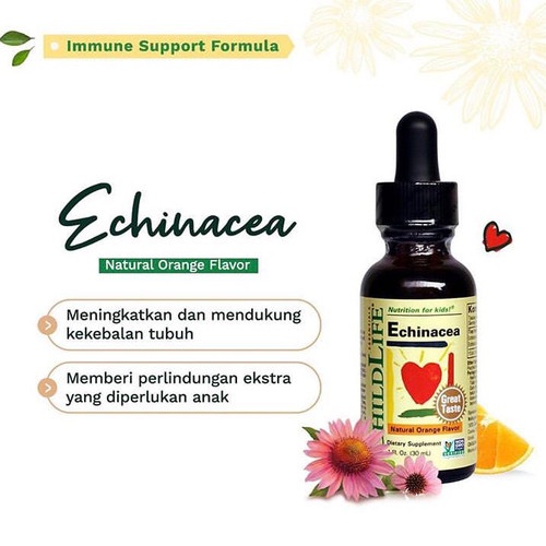 Vitamin ChildLife Multi Vitamin 237ml