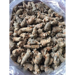 Củ tam thất bắc , tam thất rừng 1kg