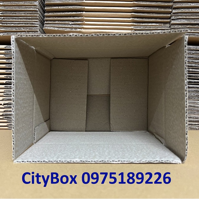 10x6x6 hộp carton ship cod - 10 hộp b