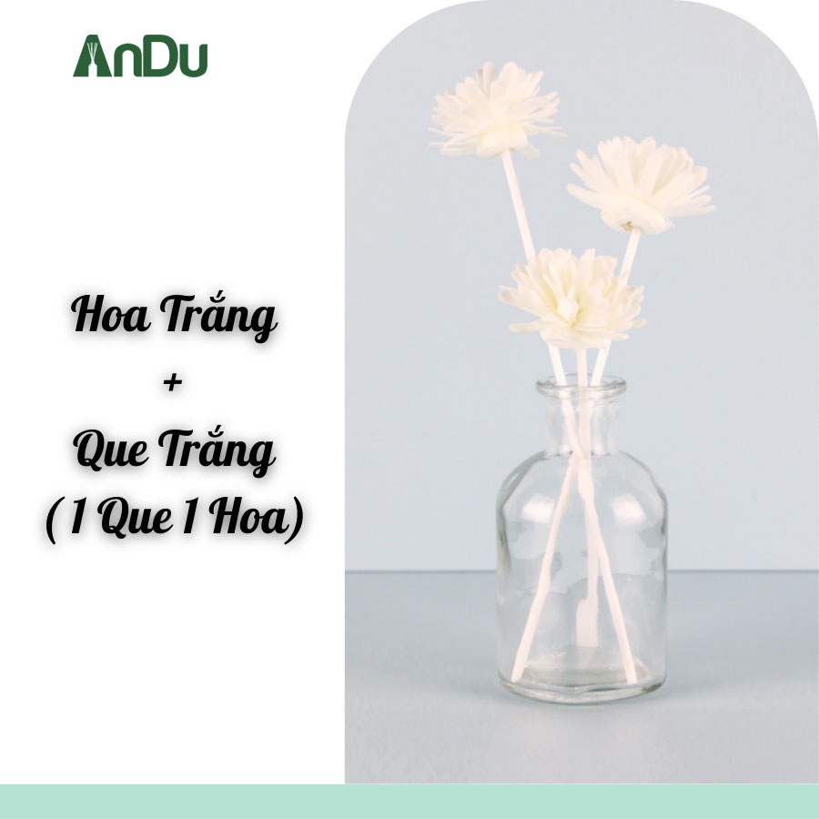 Que khuếch tán tỏa hương tinh dầu bông hoa quả cầu AnDu thay thế máy khuếch tán và đèn xông - tiện lợi và an toàn