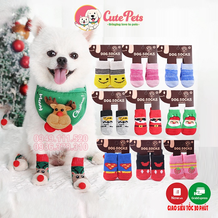 Tất cho chó mèo nhiều màu chống trượt - Bộ 4 chân - CutePets Phụ kiện chó mèo Pet shop Hà Nội