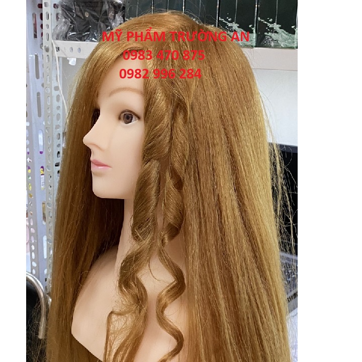 Đầu Manocanh có vai học uốn bấm, bới tóc cô dâu. Đầu manocanh chịu nhiệt cao