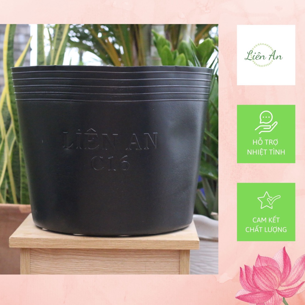 (COMBO 30 CHẬU C16) Chậu nhựa trồng cây Liên An nhựa HDPE đàn hồi, có độ bền cao, hạn sử dụng lâu (4