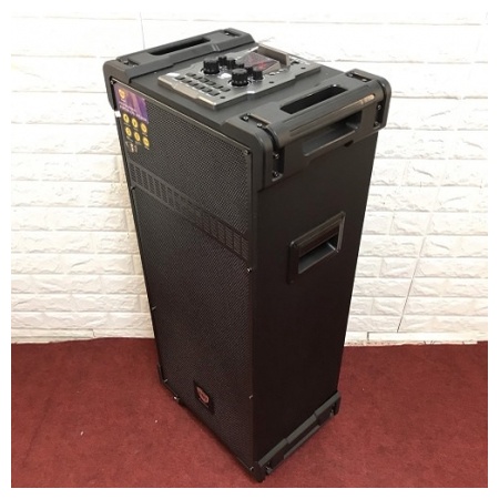 Loa kéo di động TNT-210,Loa Karaoke 2 Bass 25 Công Suất Lớn nghe nhạc ngoài trời + Tặng 2 micro không dây