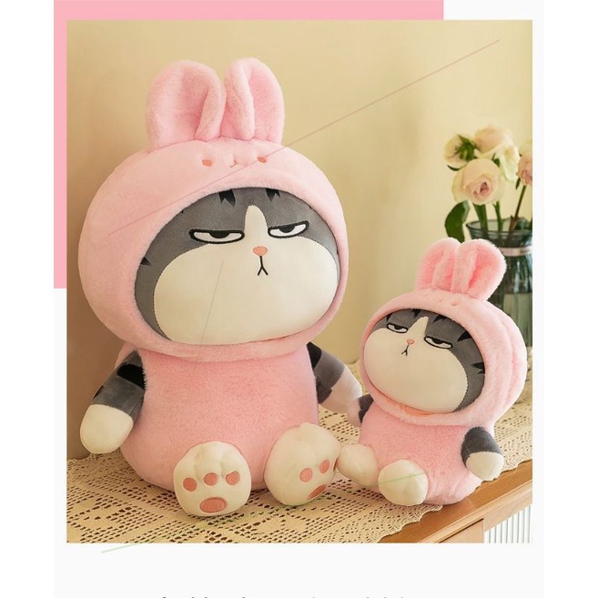 Gấu bông mèo hoàng thượng cosplay ếch, gấu bông mèo ếch, mèo thỏ