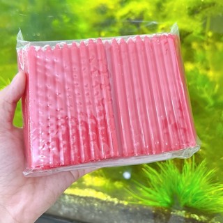 ĐÈN CẦY THẮP LỒNG ĐÈN TRUNG THU (~120 cây) - ĐÈN CẦY THẮP SÁNG