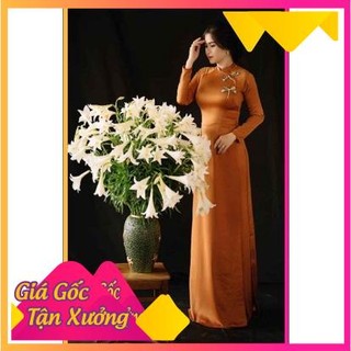 Áo dài lụa tây thi đính kết chuồn chuồn