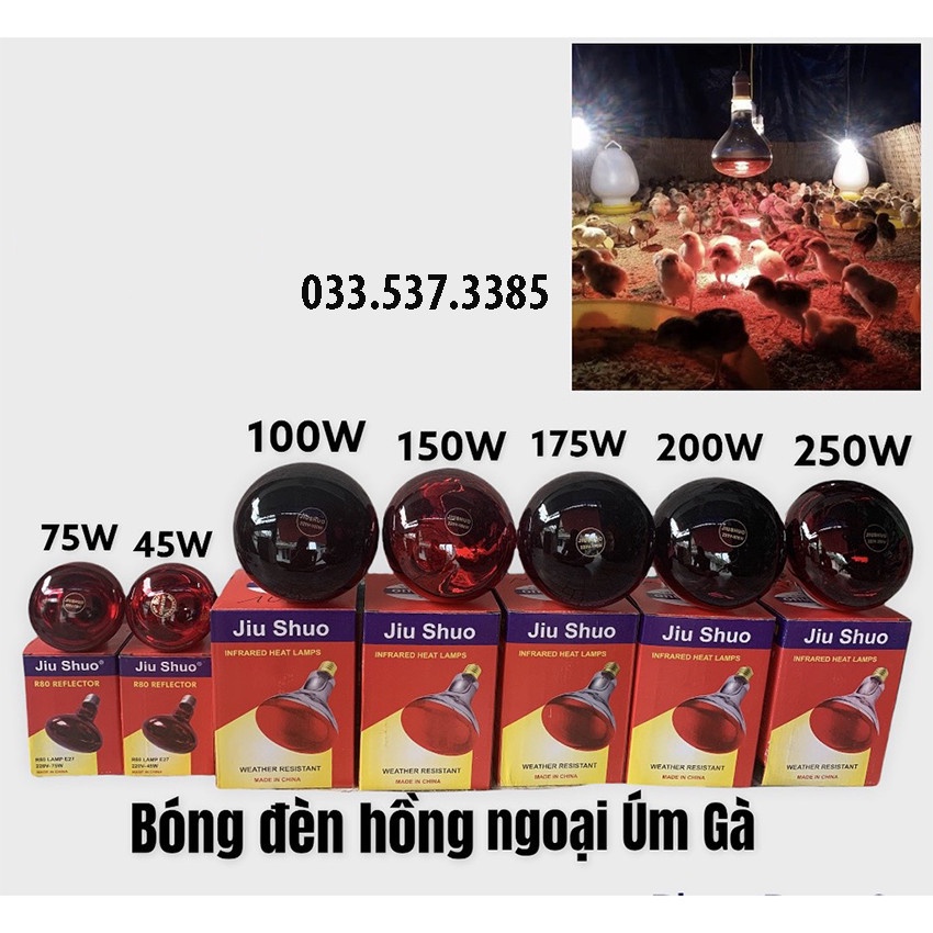Úm gà con, bóng sưởi chuyên dùng cho gia xúc, gia cầm
