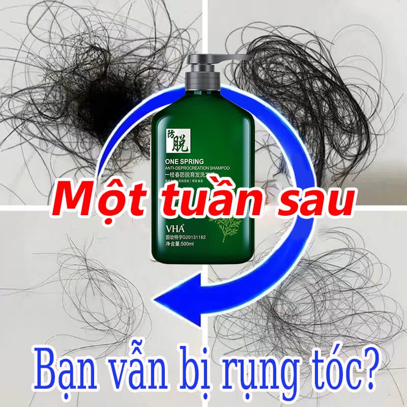 Dầu gội mọc tóc chống rụng tóc thảo dược dầu gội dưỡng tóc Chất lỏng mọc tóc,Cải thiện nang tóc Nuôi tóc