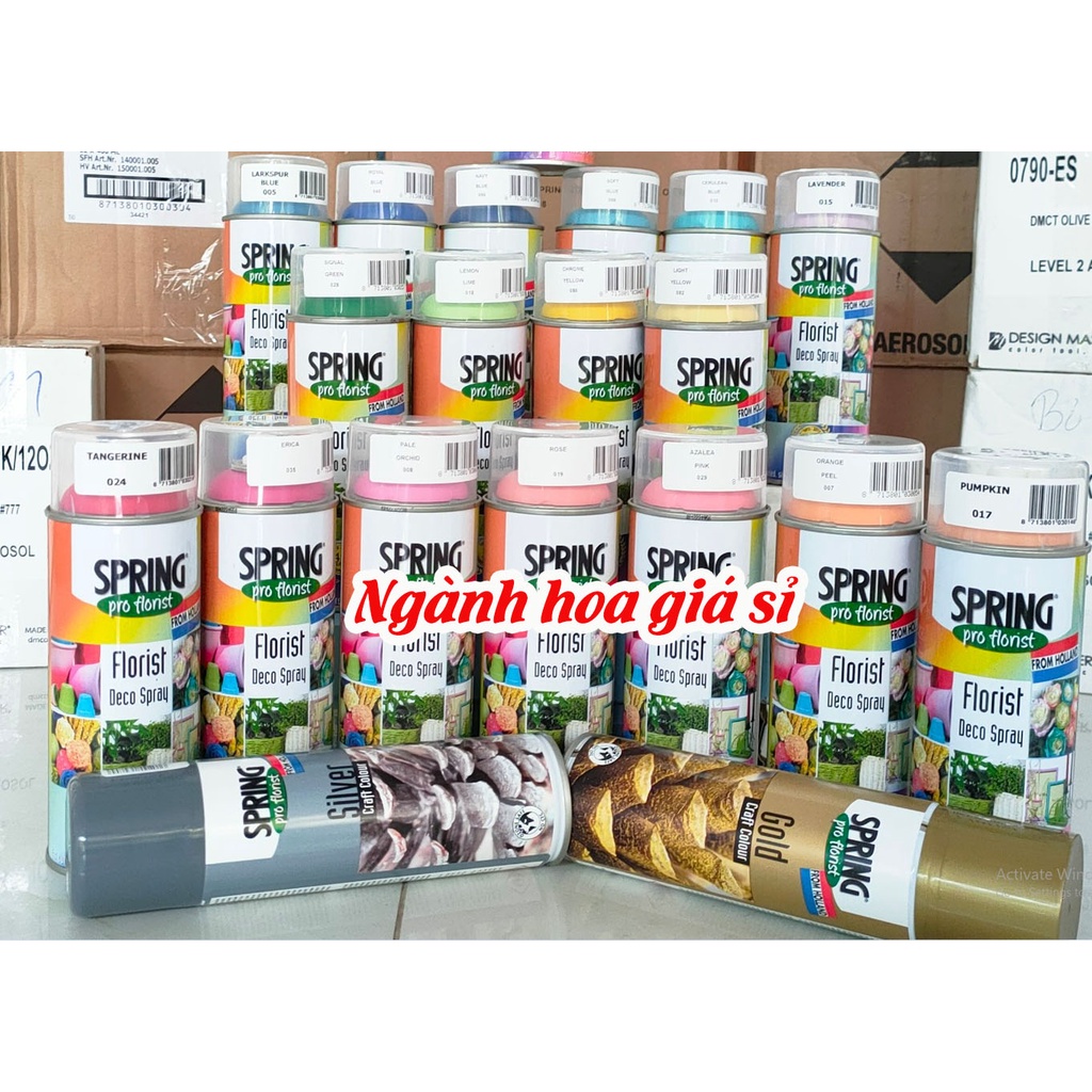 sơn xịt hoa Hà lan