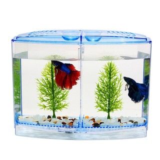 Hồ cá mini trang trí bể cá , hồ cá, thủy sinh TS35