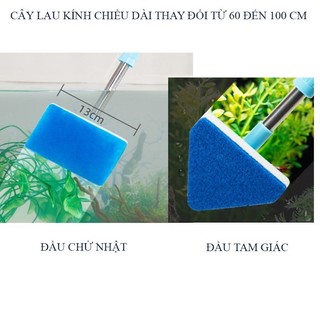 Cây chà hồ cá bể thuỷ sinh kéo dài