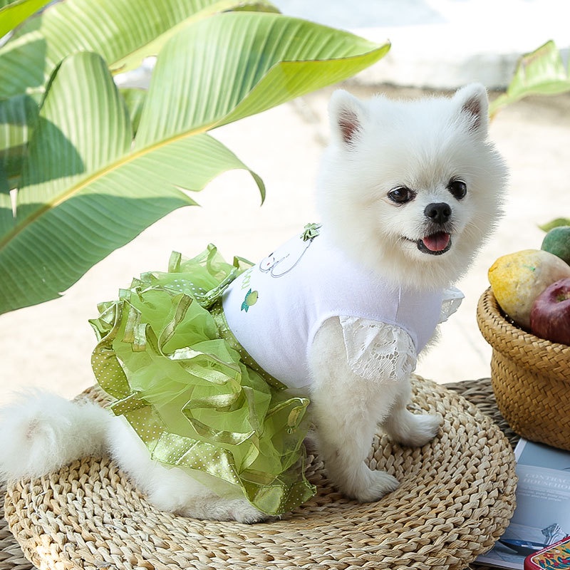 Đầm Lông Xù In Họa Tiết Hoạt Hình Thắt Nơ Thời Trang Xuân Hè Dành Cho Thú Cưng