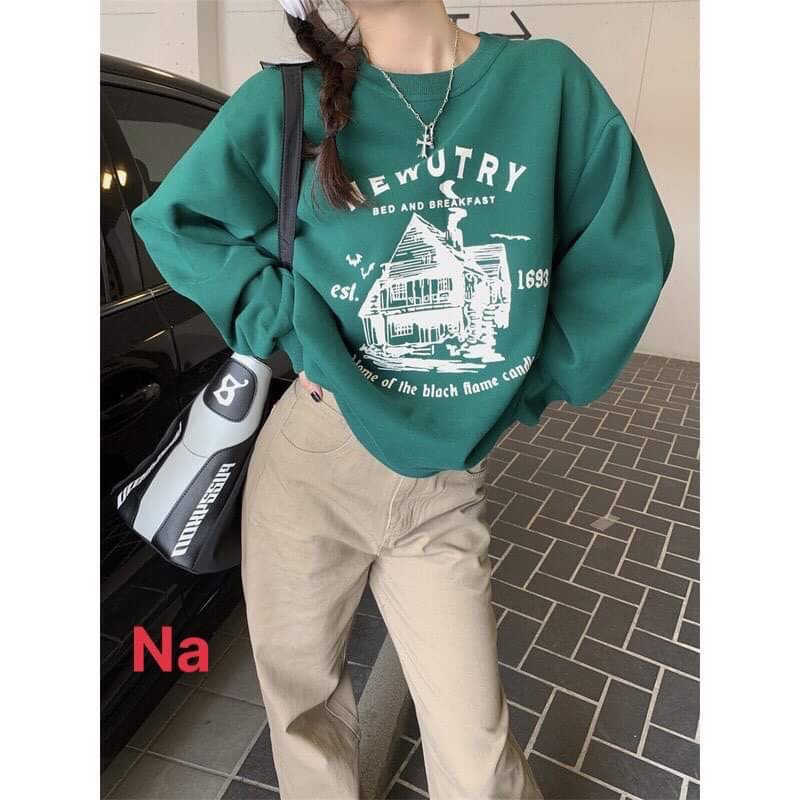 Áo swt newut NA8