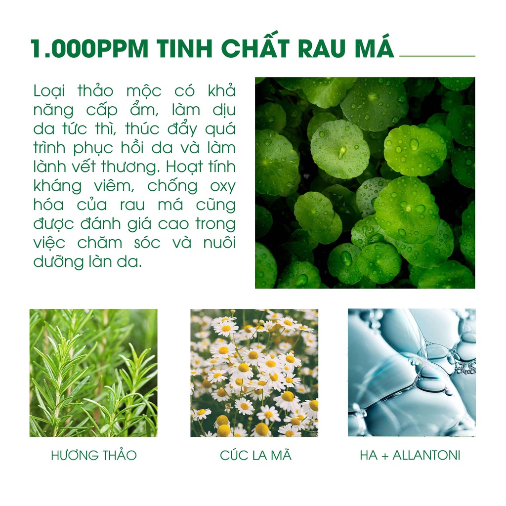 Gel Dưỡng Rau Má Làm Dịu Da, Phục Hồi Foodaholic Cica+ Soothing Gel 300ml