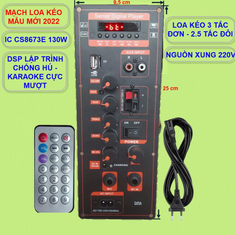 Mạch loa kéo DSP lập trình chống hú IC CS8673E công suất 130W có nguồn xung 220V - Karaoke và Guitar điện