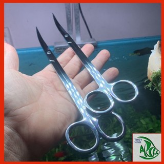 Kéo thủy sinh mũi cong, mũi thẳng cắt cây thủy sinh dài 25 cm