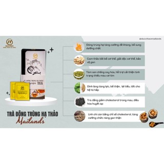 Trà Đông Trùng Hạ Thảo Túi Lọc Mailands_Mua 3 Tặng 1 _ DuocThaoMaiLands