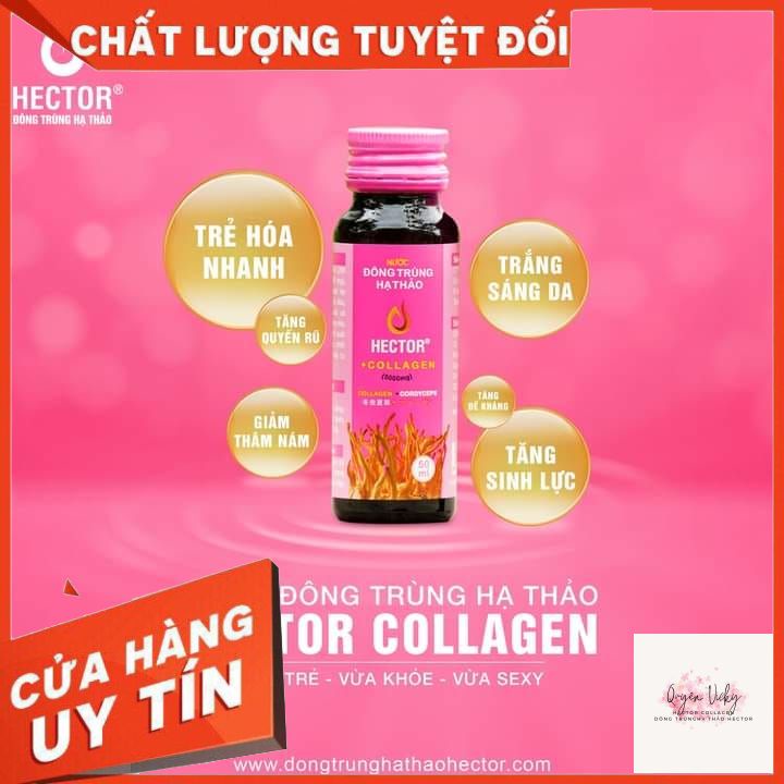 Nước đông trùng hạ thảo collagen hector