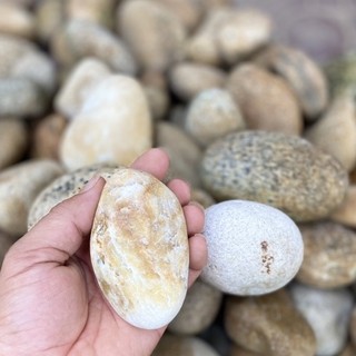 Đá kỳ tế bào chết ( đá rửa mặt )