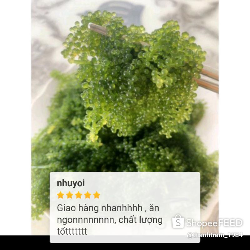 [100g NỞ RA 300g] Rong Nho Tách Nước  KHÁNH HÒA - NHA TRANG - Giàu Dinh Dưỡng - Công Nghệ Tách Nước Tiêu Chuẩn Nhật Bản