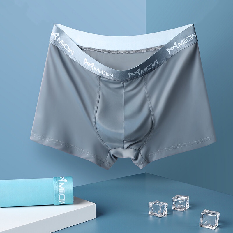 Bộ 4 Quần Lót Boxer Bằng Polyester Trong Suốt Quyến Rũ Cho Nam M1020