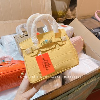 Túi H Mờ da rắn bóng Size 20