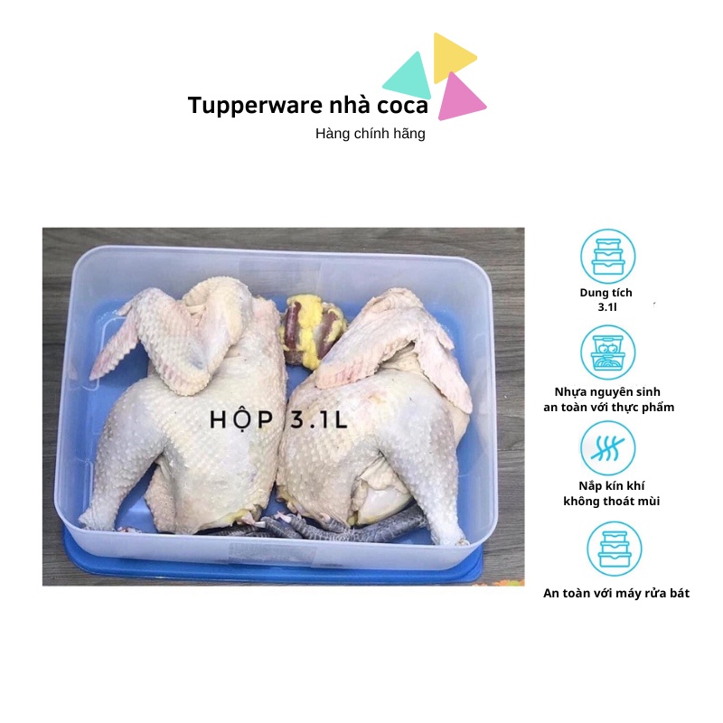 Hộp trữ đông 3.1L (nắp tím) Tupperware hàng chính hãng