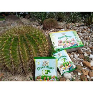 Combo 1 Thùng (6 lon 750gr/ 6 hộp 625gr) Sữa Hạt Ngũ Cốc 25 Green Nutri [Nhập khẩu]