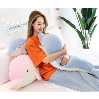 Gấu bông hình con cá heo siêu dễ thương