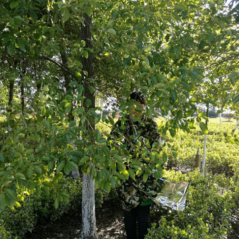 Vỏ Bọc Thảm Poncho Khẩn Cấp Gọn Nhẹ Chống Gió Chống Nước Có Thể Tái Sử Dụng