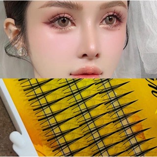 Mi Chữ A/Lông Mi Tự Nối/Mi Giả/Đi Tiệc