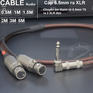 Dây jack 6 ly ra 2 canon cái DIY 0.5 đến 5 mét - 1/4 square 90 degree mono audio cable to 2 female XLR