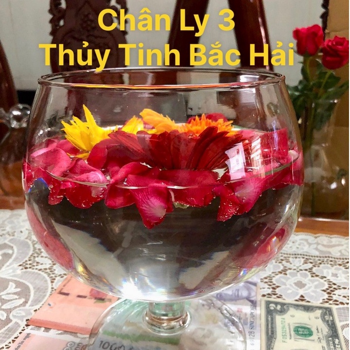 Mẫu Chân Ly CL3 - Bầu Bèo, Thố, Chân Ly , Chậu , Bễ , Hồ Thủy Tinh Trồng Cây Thủy Sinh Và Nuôi Cá