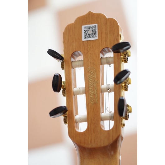 Guitar Nilon Flamenco JX-10G tích hợp Bluetooth và Effecr