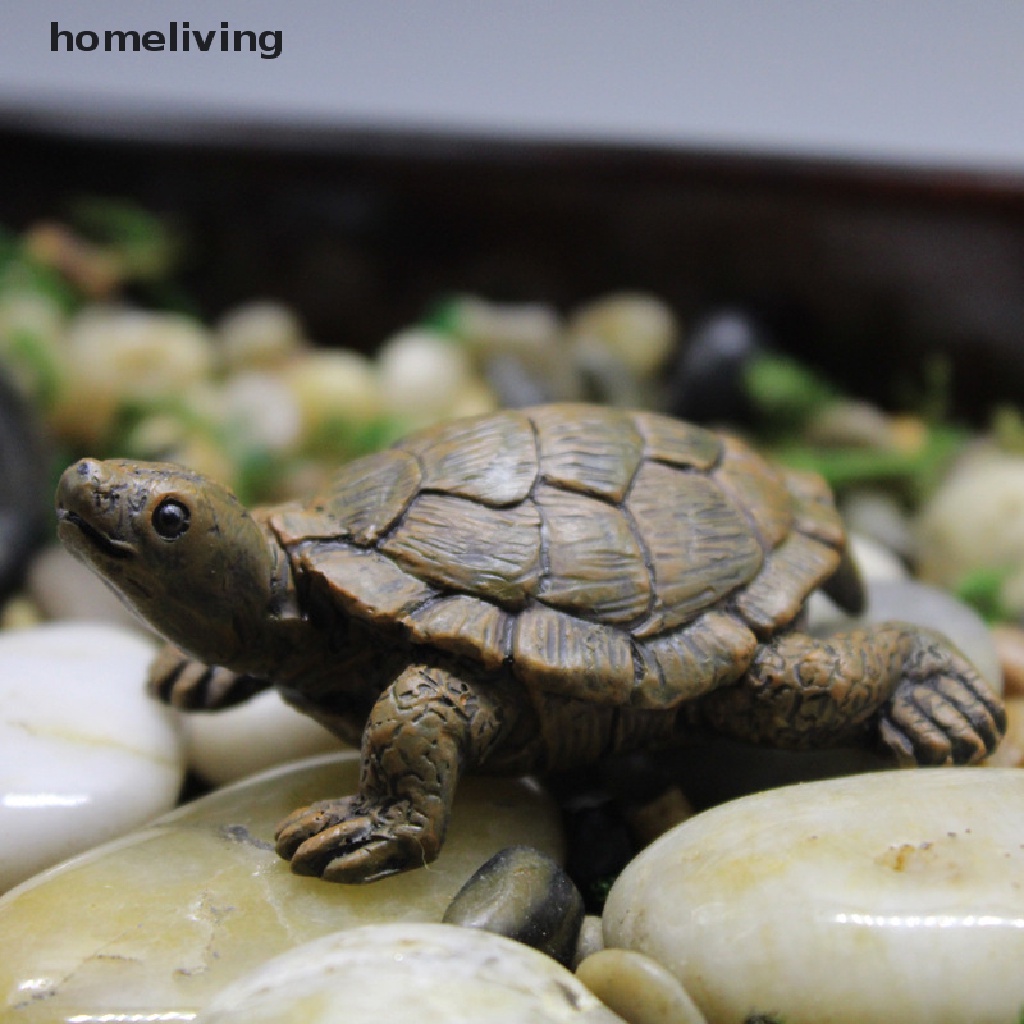 Mô Hình Rùa Bằng Nhựa resin Trang Trí Tiểu Cảnh