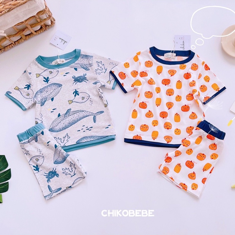 / Đồ Bộ Mặc Nhà Cho Bé Trai