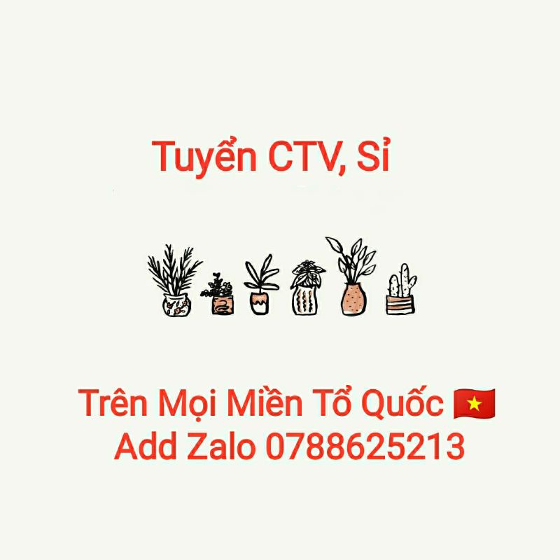 Mồi Câu Megabarra FX9 8.8g 90mm Floating Minnow