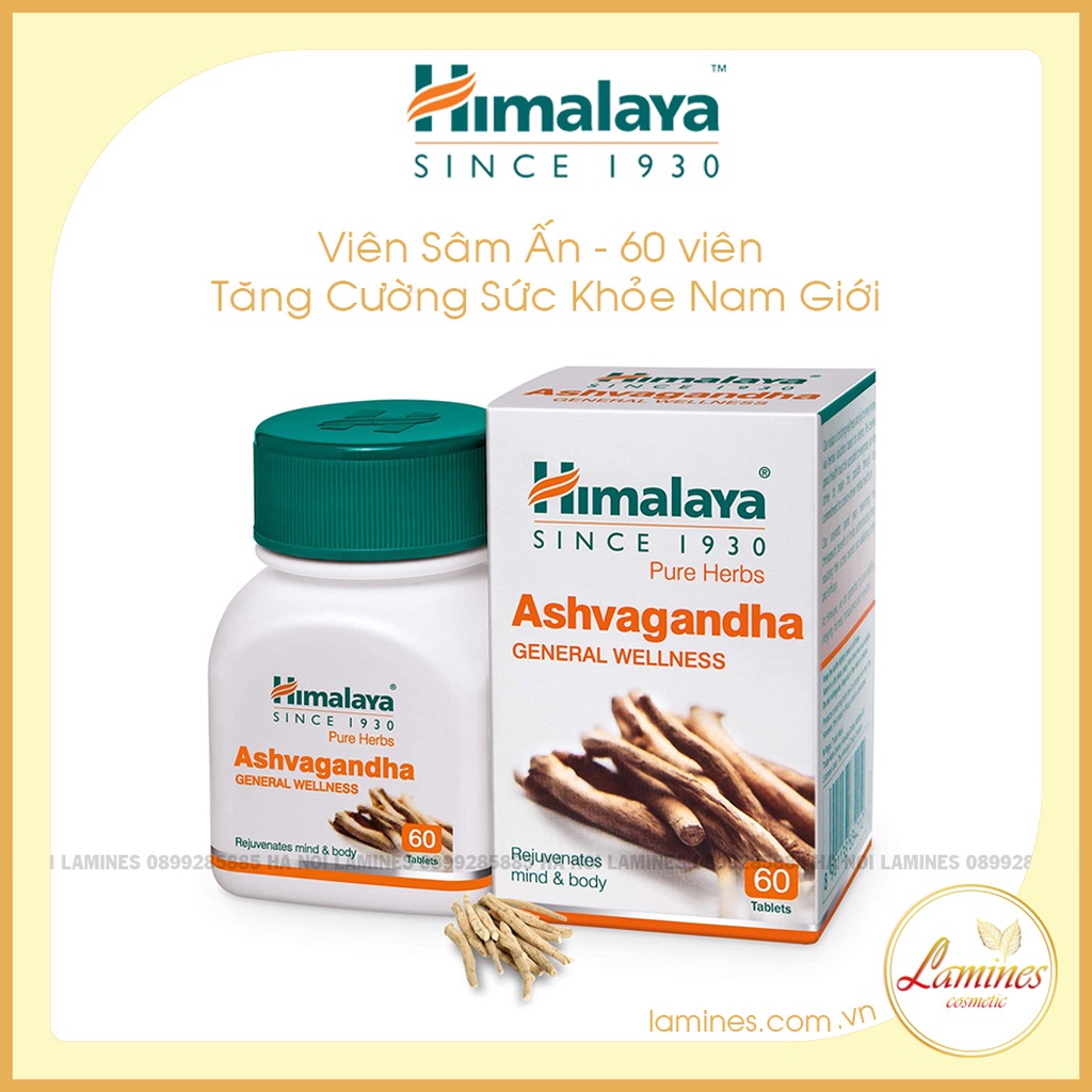 [Có Sẵn]  Viên Sâm Ấn Himalaya Ashwagandha 60 Viên