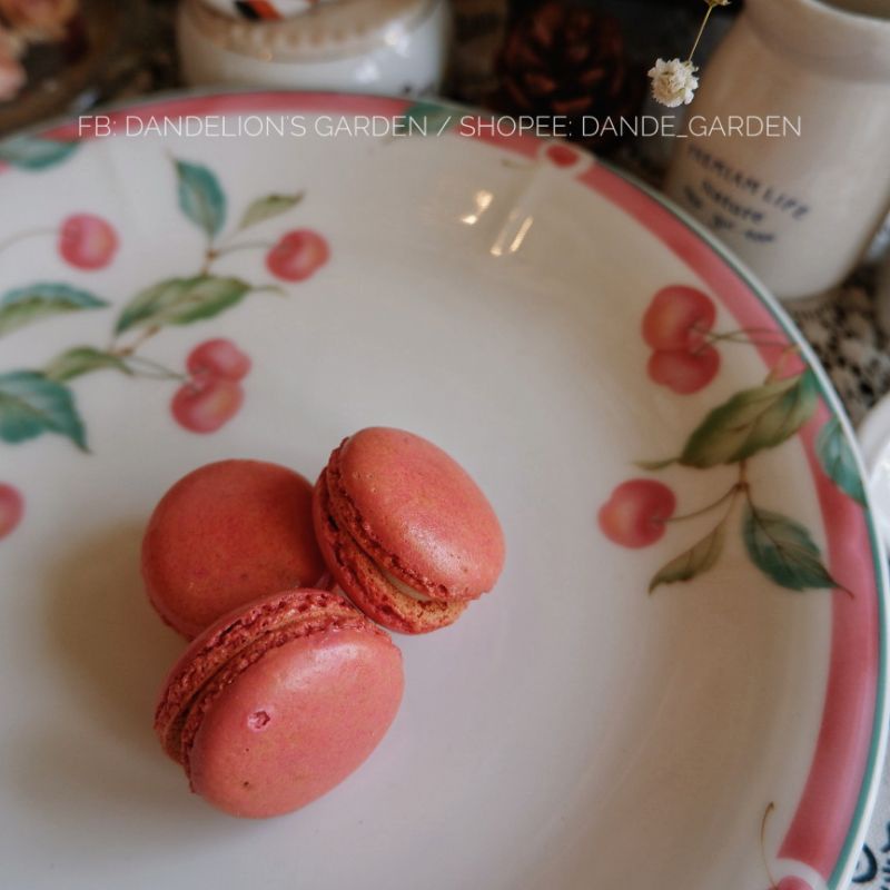 Dĩa viền hồng vẽ quả cherry